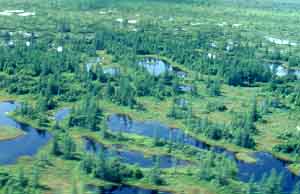 La réserve écologique du Lac-à-la-Tortue
