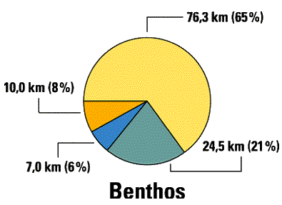Graphique Benthos