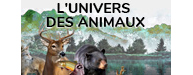 L'univers des animaux du Québec